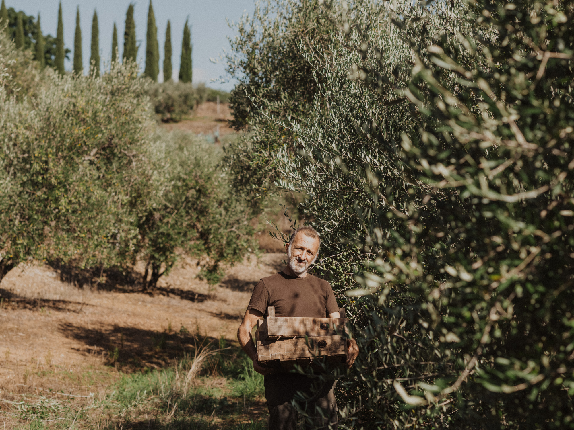 Wat is het verschil tussen extra vierge olijfolie en gewone olijfolie?