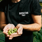 Novello Extra Vierge Olijfolie 2025/2026 - Eerste oogst - 500ml